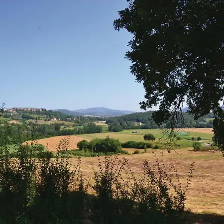Melograno
